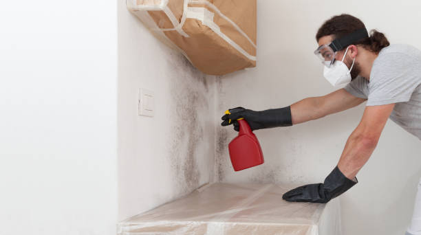 Professional Crawl Space Mold Remediation technician working in Valrico, FL